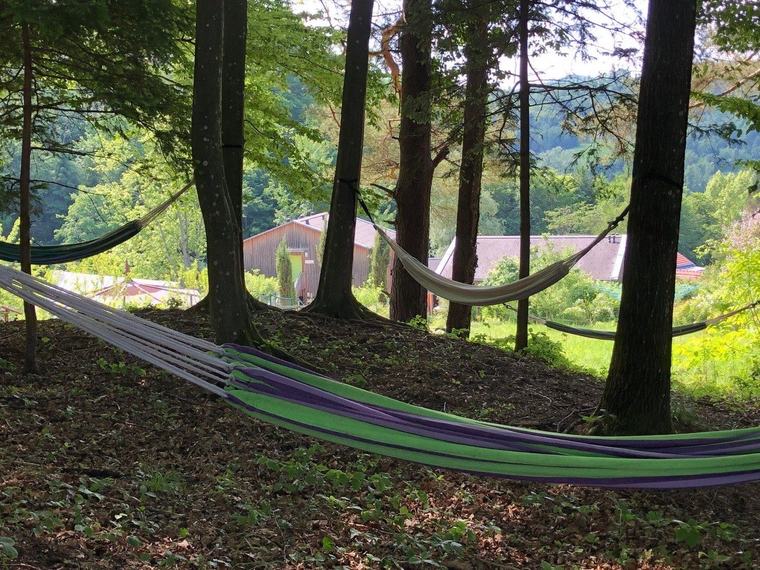 Der Privatwald
